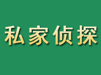 山阳市私家正规侦探