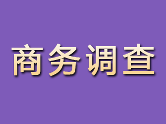 山阳商务调查